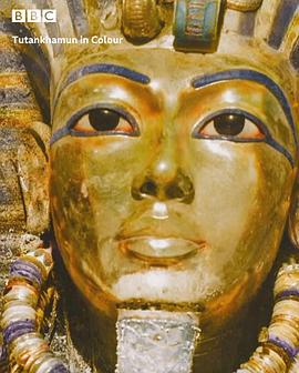 Tutankhamun in Colour