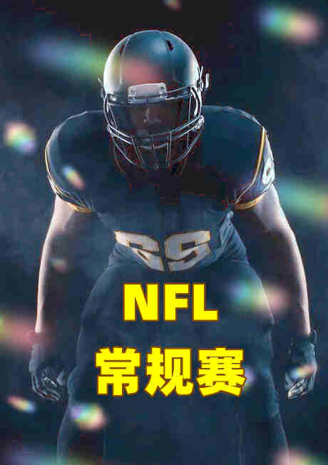 NFL常规赛第十周-维京人vs比尔-20221114